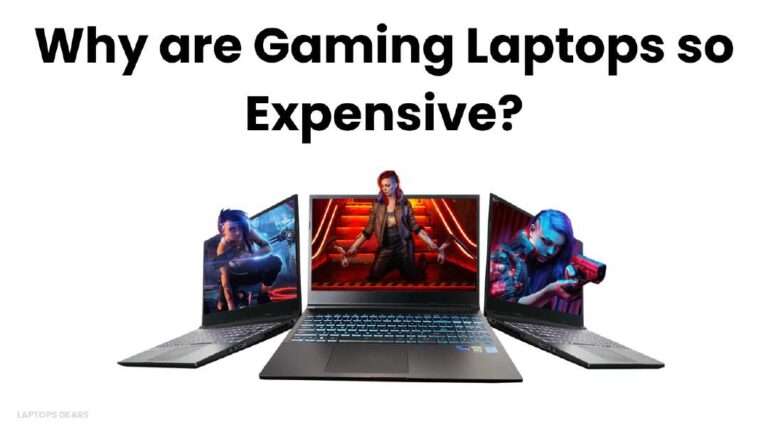 Why Are Gaming Laptops So Expensive? 10 Best Reasons